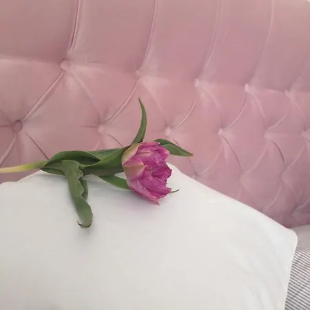 Apartament Bella Plaza *